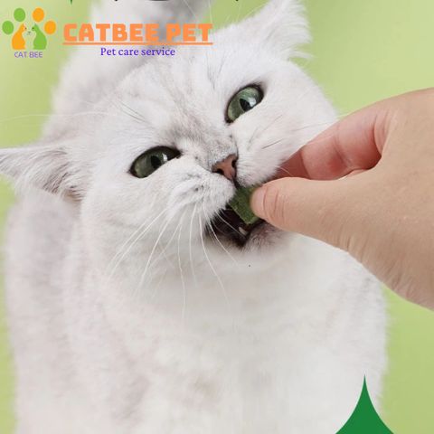 Gà viên mix cỏ mèo loại 1 hỗ trợ tiêu búi lông,giảm stress, bổ sung dinh dưỡng cho mèo