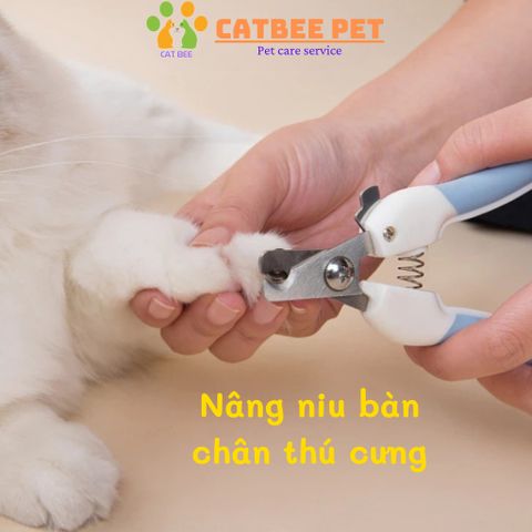 Bộ kéo cắt móng cao cấp kèm dũa giành cho chó mèo chính hãng