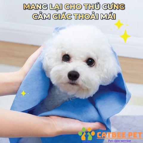 Khăn tắm chó mèo Clean Cham siêu thấm hút - Khăn lau đa năng, siêu thấm đa công dụng
