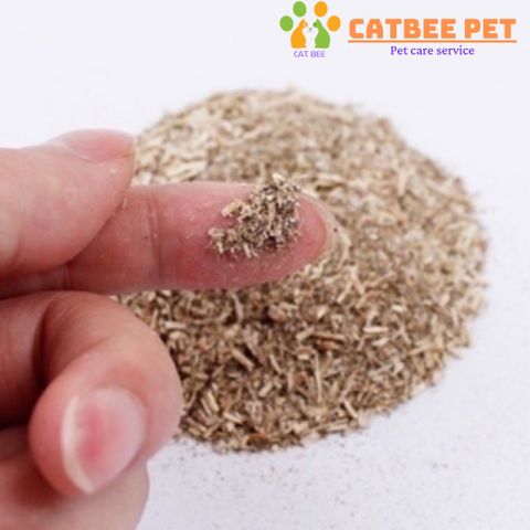 Ống cỏ mèo bạc hà Catnip - cỏ phê mèo, cỏ mèo thư giãn, giảm stress - huấn luyện mèo