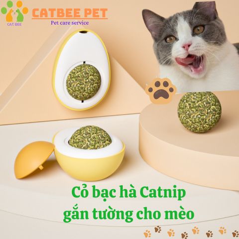 Ống cỏ mèo bạc hà Catnip - cỏ phê mèo, cỏ mèo thư giãn, giảm stress - huấn luyện mèo
