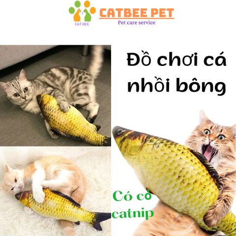 Đồ chơi cho mèo Cá nhồi bông 3D kèm túi catnip dành cho mèo giúp mèo vui chơi giảm stress