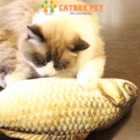 Đồ chơi cho mèo Cá nhồi bông 3D kèm túi catnip dành cho mèo giúp mèo vui chơi giảm stress