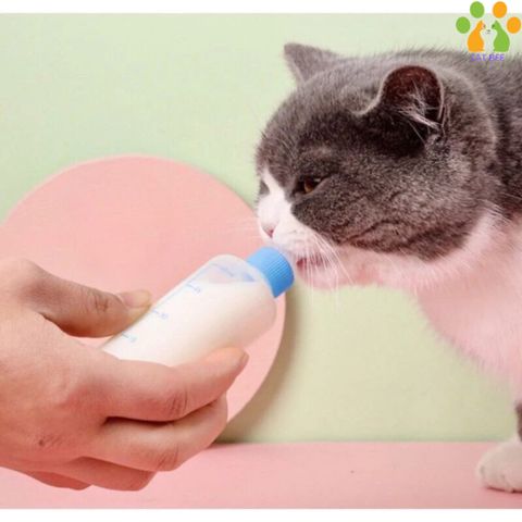 Bình ty , bình sữa dành cho chó mèo - Hỗ trợ chó mèo nhỏ uống sữa -Có đầu thay thế 60ml,150ml