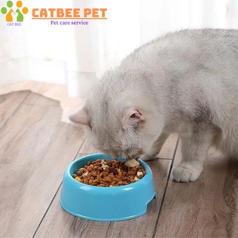 Bát Ăn Đơn Tròn Cho Chó Mèo - Bằng Nhựa - Loại Tốt