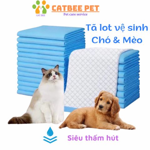 [Combo 30,50,100] Tã Lót Vệ Sinh Cho Chó Mèo - Tã Lót Siêu Thấm Hút Cho Chó Mèo Dog & Cat