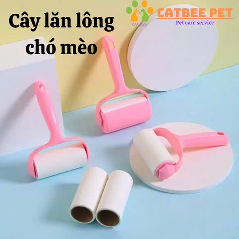 Cây lăn lông chó mèo - lăn lông mèo - Cây lăn bụi, làm sạch sofa, quần áo