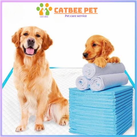 [Combo 30,50,100] Tã Lót Vệ Sinh Cho Chó Mèo - Tã Lót Siêu Thấm Hút Cho Chó Mèo Dog & Cat