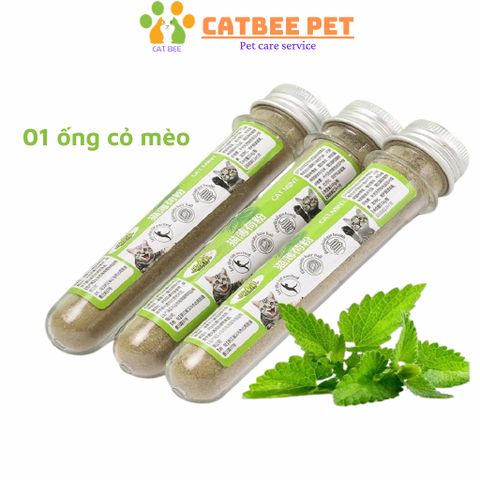 Viên Cỏ Bạc Hà Gắn Tường Giảm Stress Cho Mèo Hình Quả Trứng