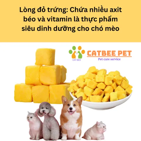 [100g,200g,500g] Viên sấy khô cho chó và mèo-Gà viên-Cỏ mèo-Gan viên-Lòng đỏ trứng bổ sung dinh dưỡng (loại 1)