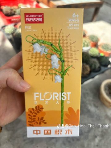 Đồ chơi nhựa Bộ lắp ráp hình hoa