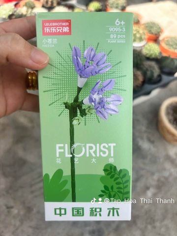 Đồ chơi nhựa Bộ lắp ráp hình hoa