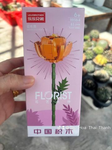 Đồ chơi nhựa Bộ lắp ráp hình hoa