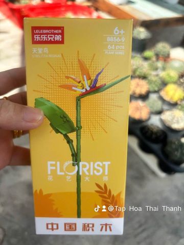 Đồ chơi nhựa Bộ lắp ráp DIY hình hoa