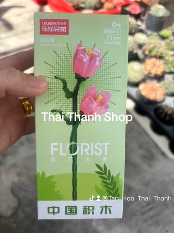 Đồ chơi nhựa Bộ lắp ráp DIY hình hoa