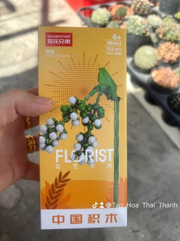 Đồ chơi nhựa Bộ lắp ráp DIY hình hoa
