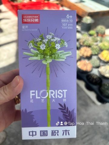 Đồ chơi nhựa Bộ lắp ráp DIY hình hoa