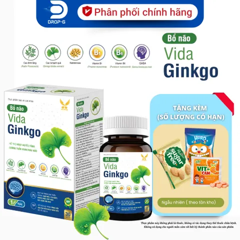 ( Chính hãng) - Viên uống hỗ trợ hoạt huyết, hỗ trợ cải thiện triệu chứng đau đầu, chóng mặt [ TPBVSK VIDA GINKGO ] H30v
