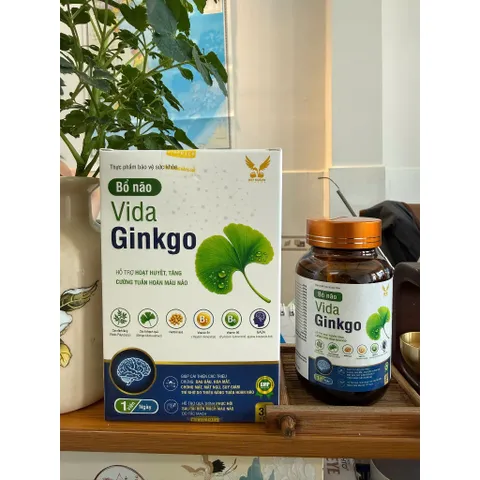 ( Chính hãng) - Viên uống hỗ trợ hoạt huyết, hỗ trợ cải thiện triệu chứng đau đầu, chóng mặt [ TPBVSK VIDA GINKGO ] H30v