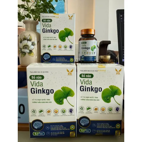 ( Chính hãng) - Viên uống hỗ trợ hoạt huyết, hỗ trợ cải thiện triệu chứng đau đầu, chóng mặt [ TPBVSK VIDA GINKGO ] H30v