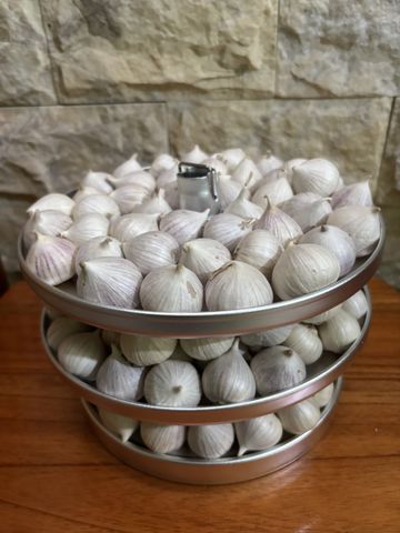 Máy Làm Tỏi Đen LUVA A6 Chính Hãng - Thiết Bị Gia Nhiệt Tự Động 6 Lít, Tỏi Đen Ngọt Dẻo, Sức Khỏe Tự Nhiên