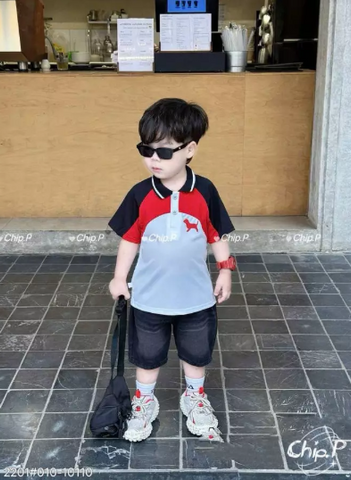 Set áo polo chó con phối màu kèm quần short jean boy phố công tử cho bé trai mùa hè mát mẻ mặc đi chơi hot hit