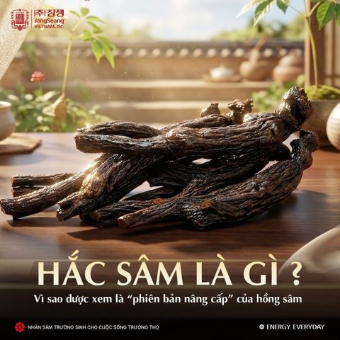 Cao Hắc Sâm JangSeang Hàn Quốc Hộp 6 Lọ x 100g