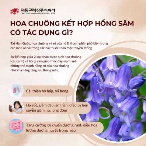 Hồng Sâm Hoa Chuông Daedong Hàn Quốc Dạng Thạch 20g x 30 Stick Chăm Sóc Sức Hệ Hô Hấp