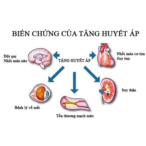 Hiệu Quả Cùng Viên Uống Hỗ Trợ Ổn Định Huyết Áp, Tiểu Đường Và Mỡ Máu Kwangdong Hàn Quốc Hộp 112 Viên