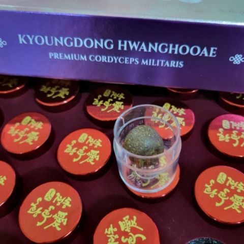 [ Phụ Nữ ] An Cung Ngưu Trầm Hương Đông Trùng KyoungDong Hwangchooea 60 Viên Chăm Sóc Tốt Sức Khỏe Cho Phụ Nữ