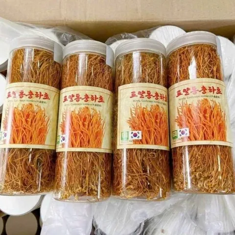 Nấm Đông Trùng Hạ Thảo Sấy Thăng Hoa Hàn Quốc Hộp 100g