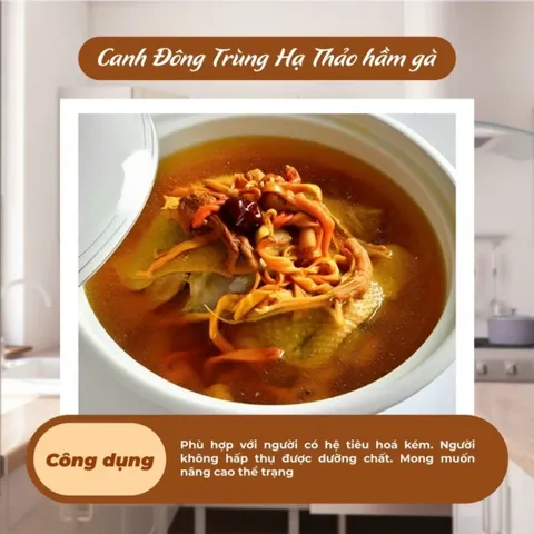 Nấm Đông Trùng Hạ Thảo Sấy Thăng Hoa Hàn Quốc Hộp 100g