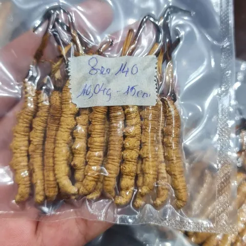 Đông Trùng Hạ Thảo Tây Tạng Nguyên Con Ống 5 con / 1gam