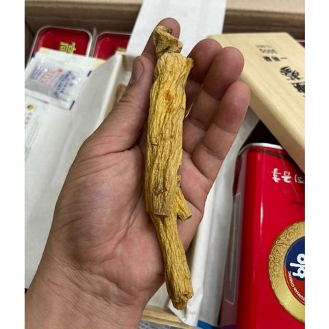 [ Nội Địa ] Thiên Sâm Củ Khô Hàn Quốc Hộp 300g 10 Củ - Korean Tekuk Ginseng