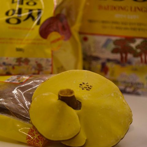 Nấm Linh Chi Daedong Hàn Quốc Hộp 1 Kg, Tăng Cường Sức Khoẻ Và Hệ Miễn Dịch, Thải Độc Gan