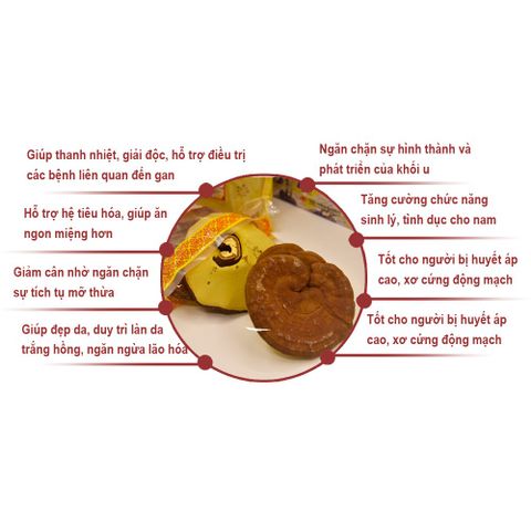 Nấm Linh Chi Daedong Hàn Quốc Hộp 1 Kg, Tăng Cường Sức Khoẻ Và Hệ Miễn Dịch, Thải Độc Gan