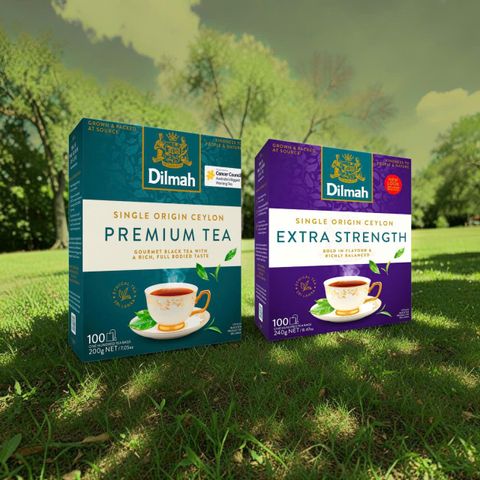 Trà túi lọc Dilmah Extra Strength 100 túi - Hương vị đậm đà từ trà đen nguyên chất, tốt cho sức khỏe và tinh thần