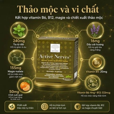 Viên uống hỗ trợ giảm mệt mỏi New Nordic Active Nerves New Nordic (30 viên)