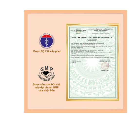 Viên uống cung cấp vitamin và khoáng chất cho phụ nữ chuẩn bị mang thai Premom Gold Jpanwell (60 viên)