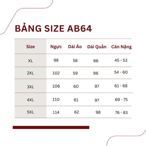 Bộ Đồ Thể Thao Xuân Thu Năng Động Cho Nữ Trung Niên AB64