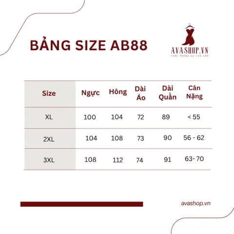 Bộ Đồ Trung Niên Áo Voan Tay Ngắn Cho Mẹ AB88