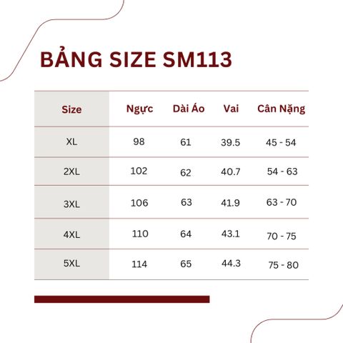 Áo Thun Mỏng Thu Đông Cho Nữ Trung Niên SM113