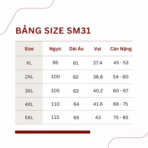 Áo Thun Nữ Trung niên Dài Tay SM31