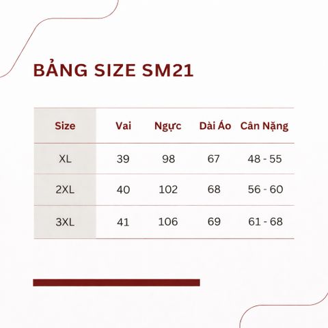 Áo Thun Voan Hè Sang Trọng Mềm Mát Cho Mẹ SM21