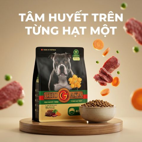 Combo 3 Túi Chogaka ADULT - Vị Bò & Rau Củ 25% đạm
