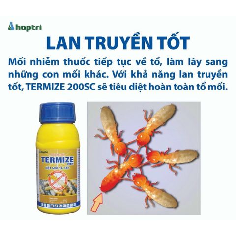 Thuốc diệt mối TERMIZE không mùi diệt cả đàn tiết kiệm chi phí hàng Hợp Trí chính hãng chai 50ml