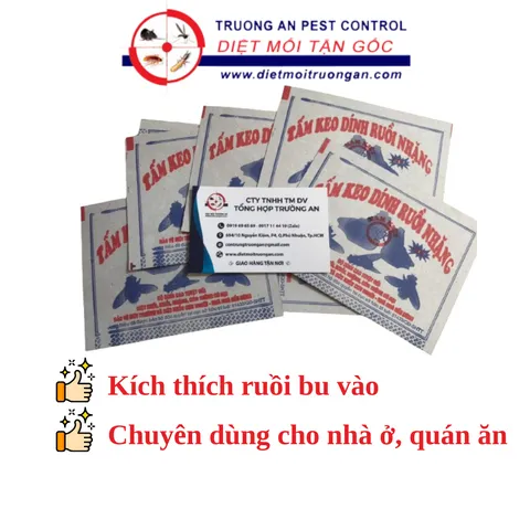 50 miếng keo dính ruồi NAM KIỆT, kích thích ruồi nhặng bu vào, chuyên dùng cho nhà hàng, quán ăn, nhà ở... 769382