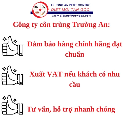50 miếng keo dính ruồi NAM KIỆT, kích thích ruồi nhặng bu vào, chuyên dùng cho nhà hàng, quán ăn, nhà ở... 769382