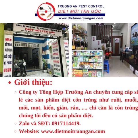 50 miếng keo dính ruồi NAM KIỆT, kích thích ruồi nhặng bu vào, chuyên dùng cho nhà hàng, quán ăn, nhà ở... 769382