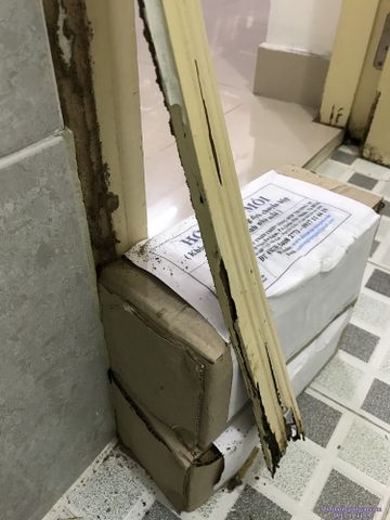 Combo diệt mối tận gốc tự làm gồm 1 chai PMC90DP và 2 hộp nhử mối